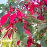 Casacolores 아파트