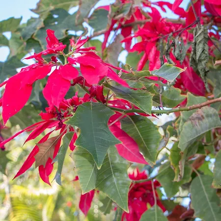 Casacolores Apartament